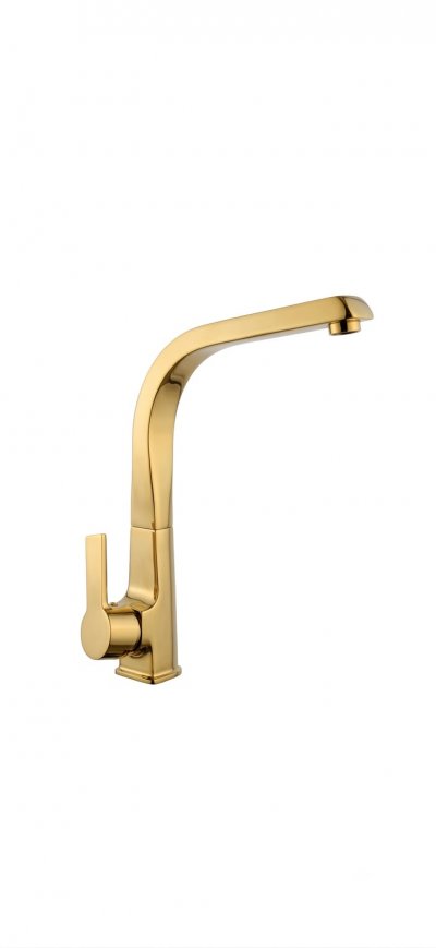 LOTUS EVYE BATARYASI (GOLD)